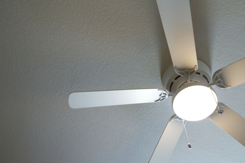Industrial Ceiling Fan Installation